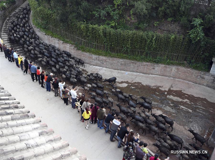 Похорошевшая китайская деревня