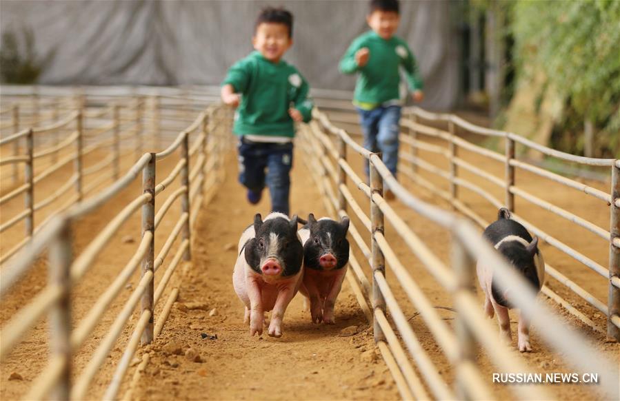 Похорошевшая китайская деревня