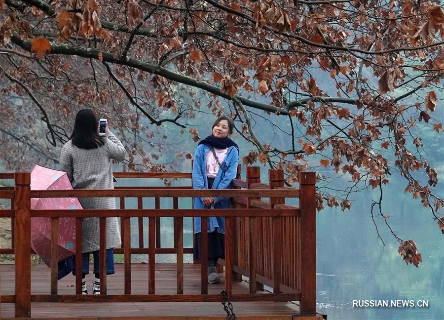 Объем внутреннего туризма в Китае в новогодние каникулы достиг 133 млн человеко-раз