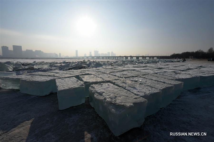 Добыча ледяных блоков на реке Сунгари в провинции Хэйлунцзян