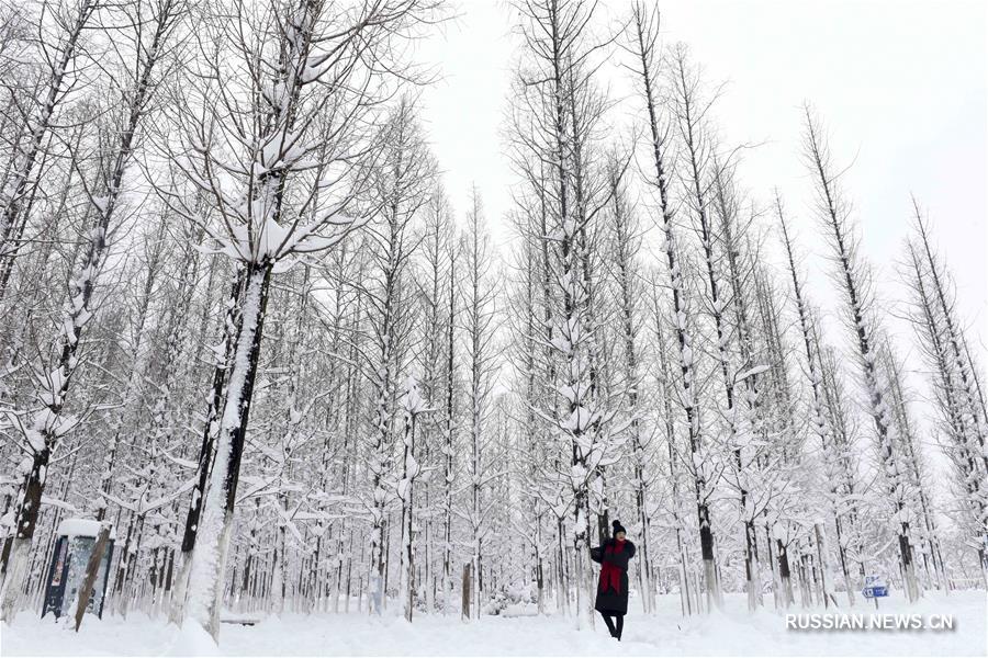 Китай под снегом в первый день "малых холодов"