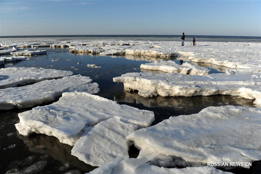 "Полярный" ледовый пейзаж на побережье залива Бохай
