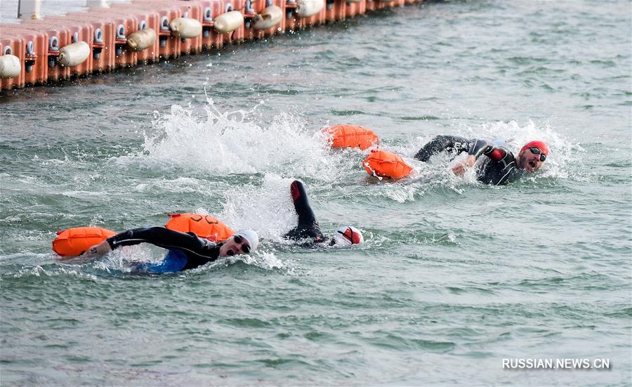 Плавание -- 8-й Цинхайский международный зимний заплыв через реку Хуанхэ: обзор