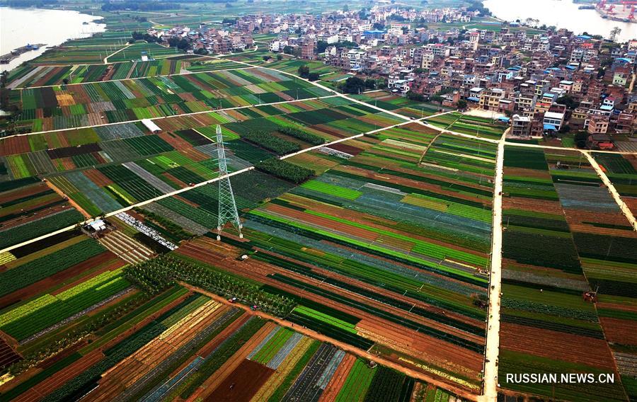 Овощные поля в Гуанси-Чжуанском АР