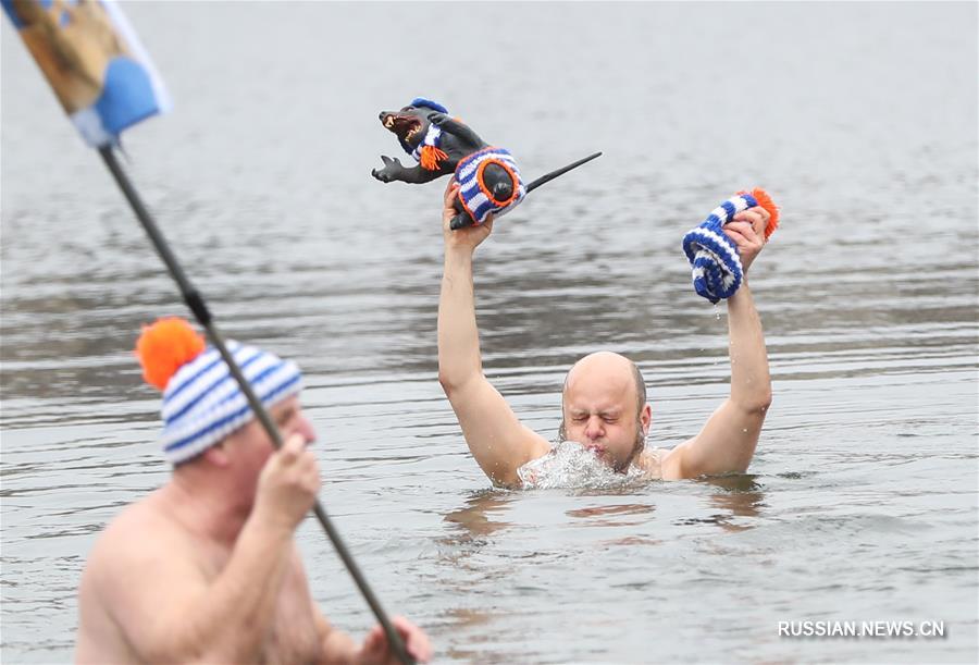 Берлин: любители зимнего плавания устроили карнавал