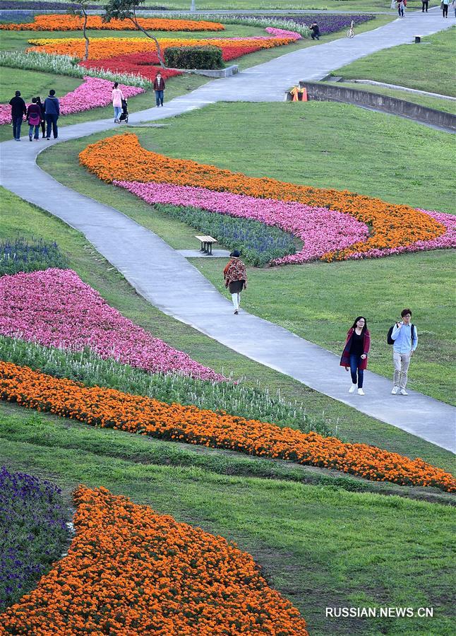 Пестрые цветочные ковры в парках Тайбэя