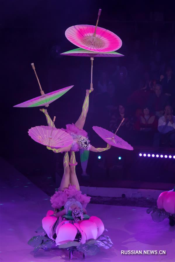 Два номера Китайской акробатической труппы получили главный приз на международном фестивале циркового искусства в Будапеште
