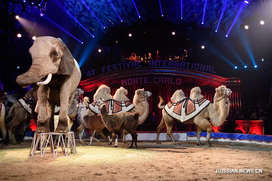 В Монте-Карло открылся 42-й Международный цирковой фестиваль