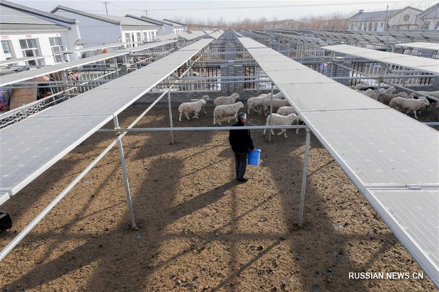 Новая жизнь в "деревне солнечных батарей"