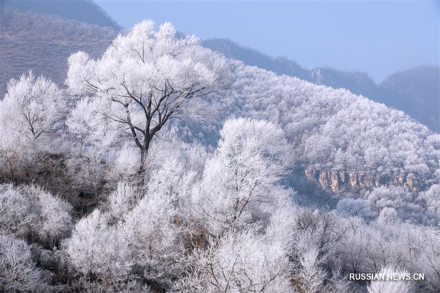 Иней украсил деревья в ландшафтном парке Цзыцзиньшань в провинции Шаньси