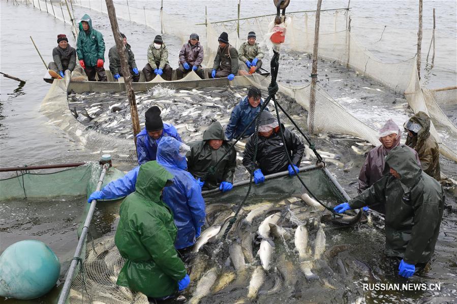 Рыбная ловля в ледяной воде озера Сяньдэнху