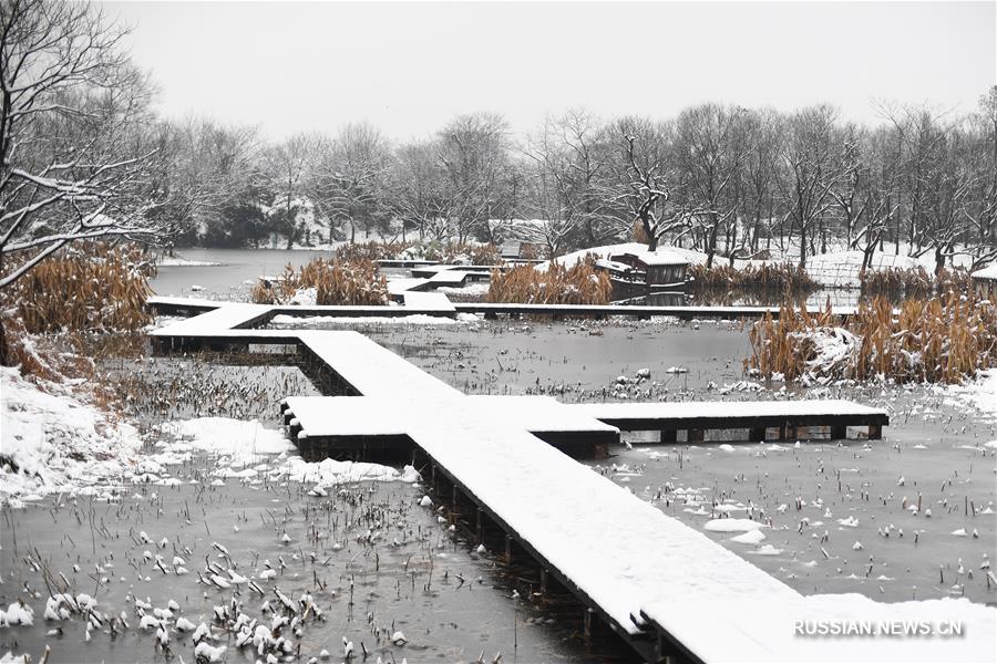 Зимняя идиллия парка Сиси в Ханчжоу