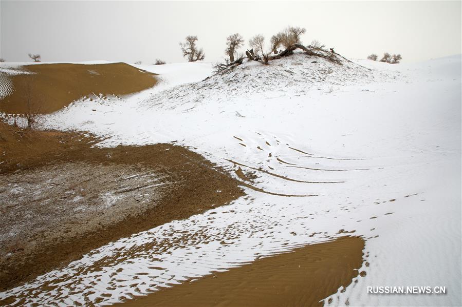#（环境）（5）塔克拉玛干沙漠雪景如画