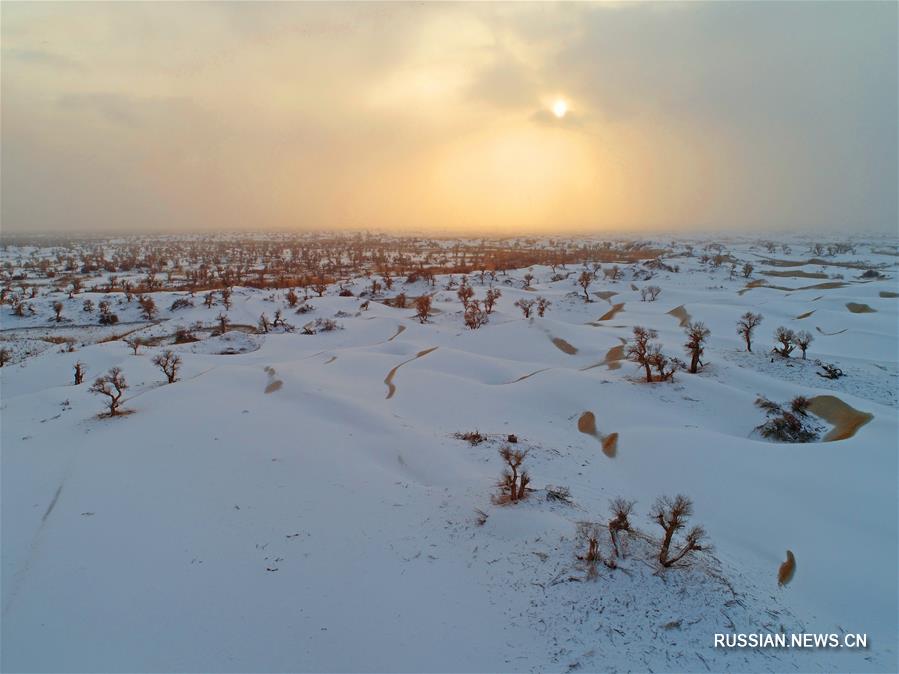 #（环境）（10）塔克拉玛干沙漠雪景如画