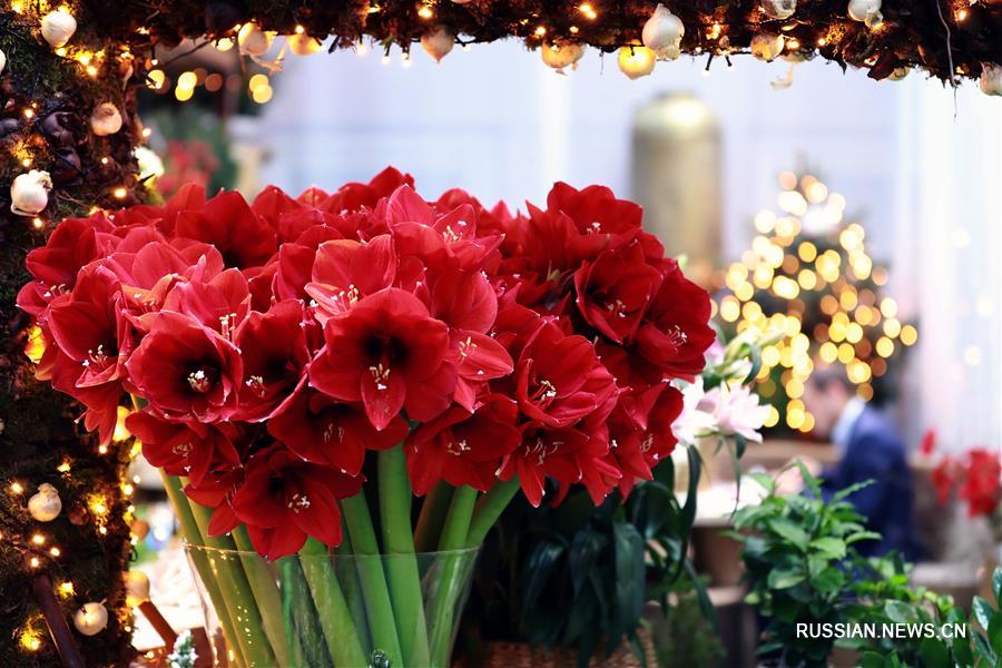 Выставка свежих цветов во Франкфурте