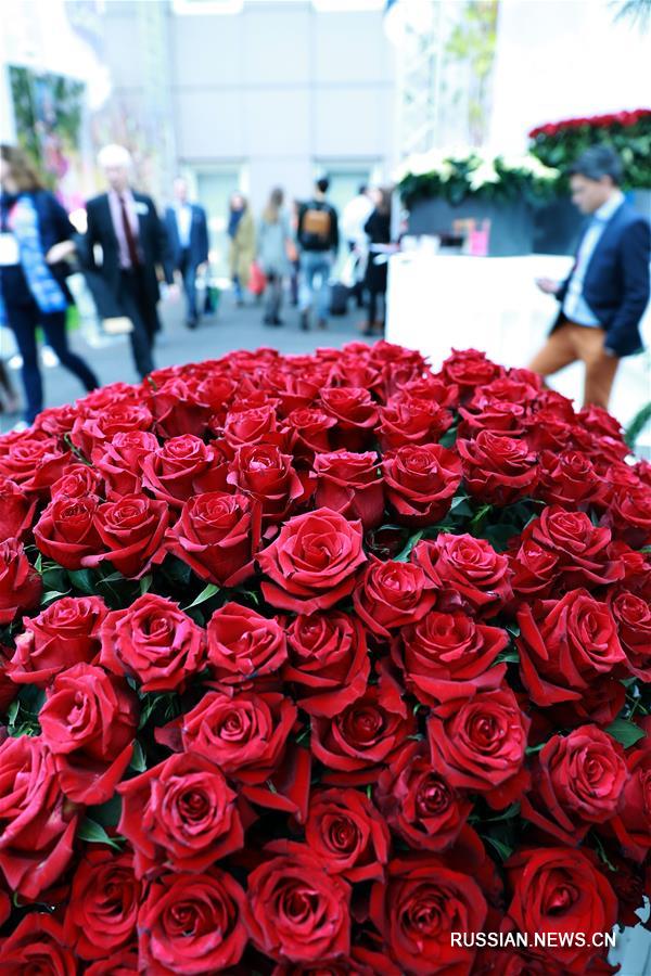 Выставка свежих цветов во Франкфурте