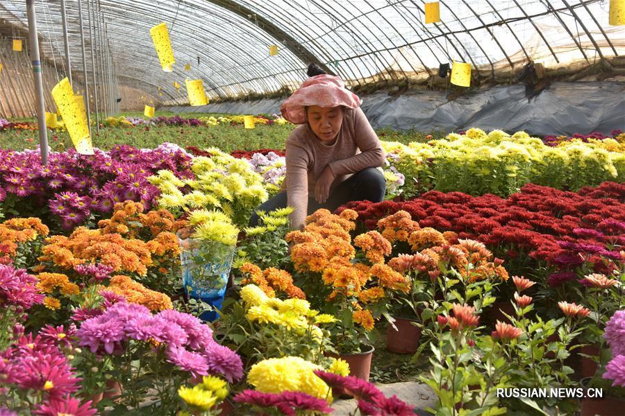 Первый день весенних полевых работ в Китае