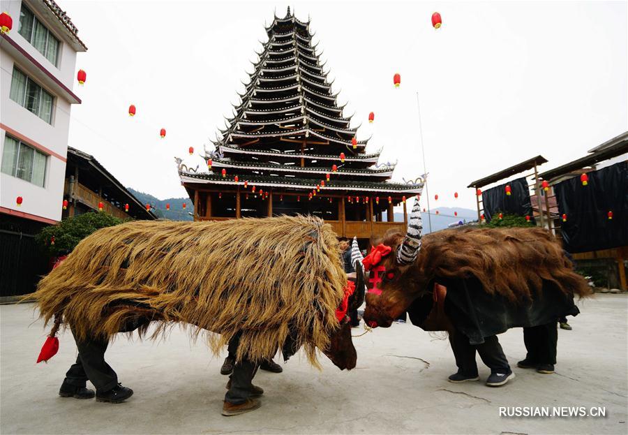 Фестиваль "весенних быков" в уезде Луншэн
