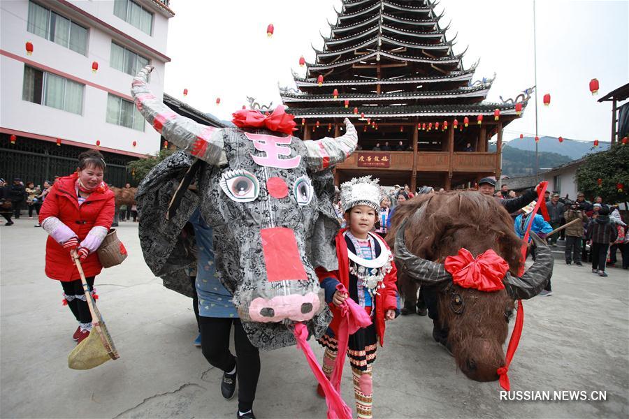 Фестиваль "весенних быков" в уезде Луншэн