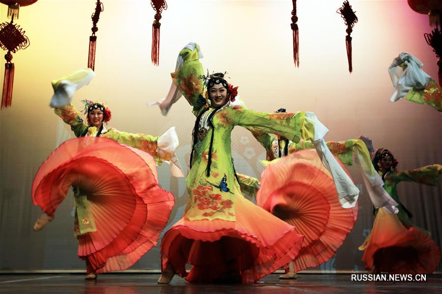 Китайская художественная группа выступила с праздничным концертом в столице Иордании