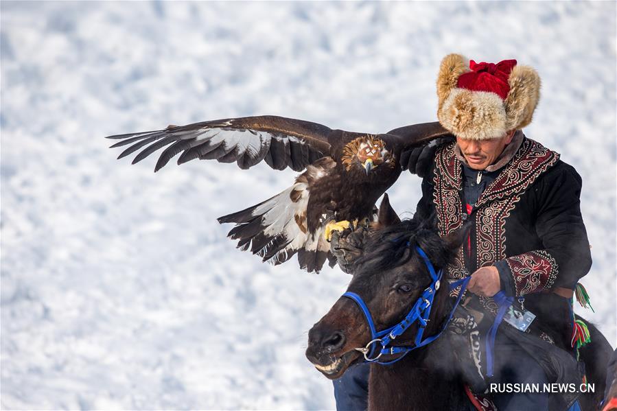 В Алматы проходит республиканский турнир охоты с ловчими птицами "Кыран-2018"