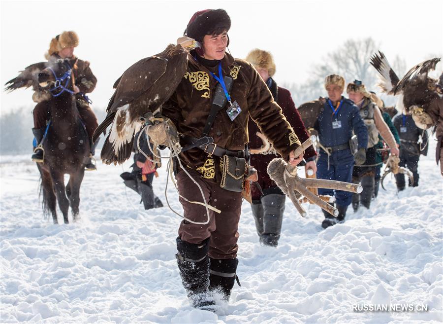 В Алматы проходит республиканский турнир охоты с ловчими птицами "Кыран-2018"
