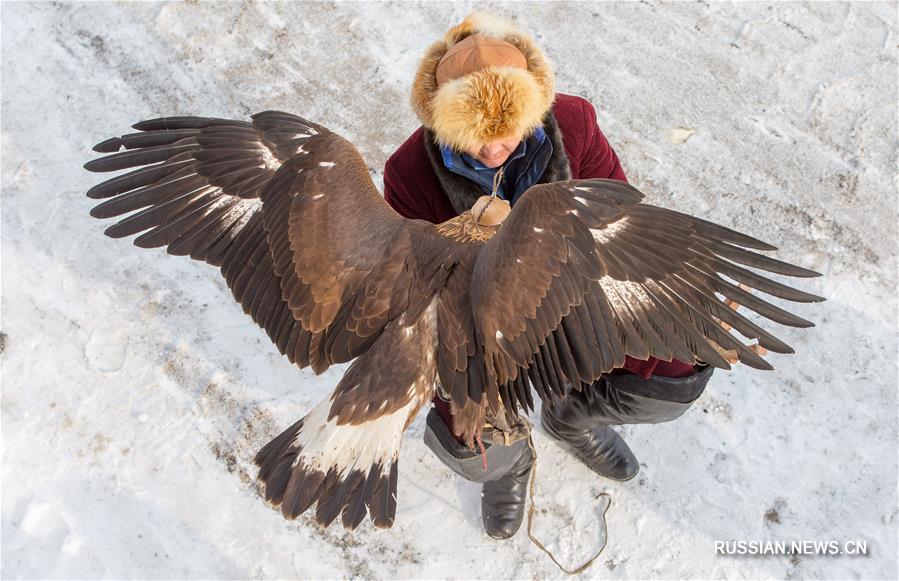 В Алматы проходит республиканский турнир охоты с ловчими птицами "Кыран-2018"
