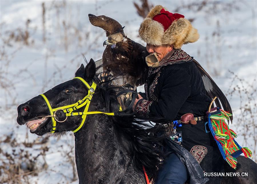 В Алматы проходит республиканский турнир охоты с ловчими птицами "Кыран-2018"