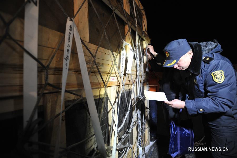 Вторая партия из 115 северных оленей будет доставлена во Внутреннюю Монголию