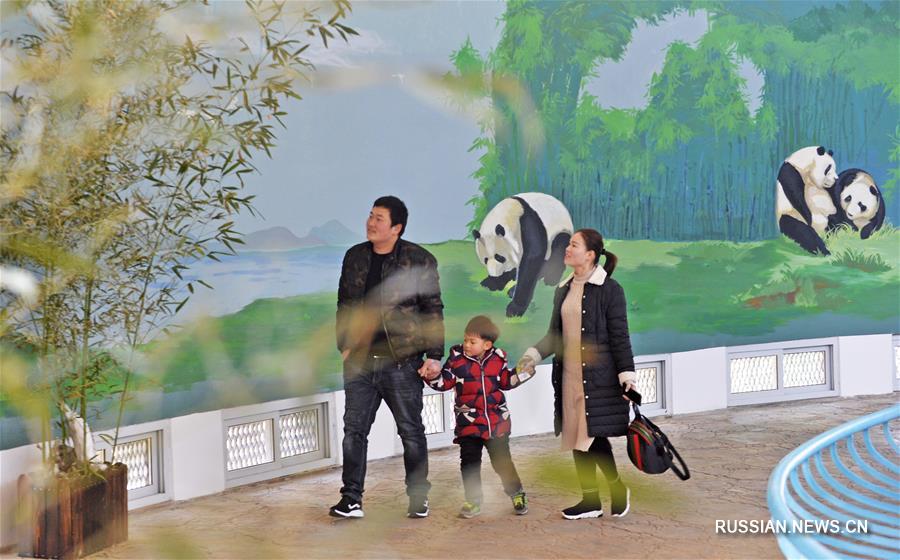 Посетители Тяньцзиньского зоопарка вновь увиделись с большой пандой Силэ