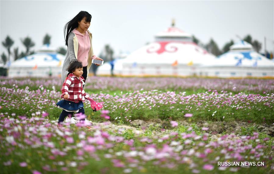 На острове Хайнань засоленный пустырь превратили в цветущий парк