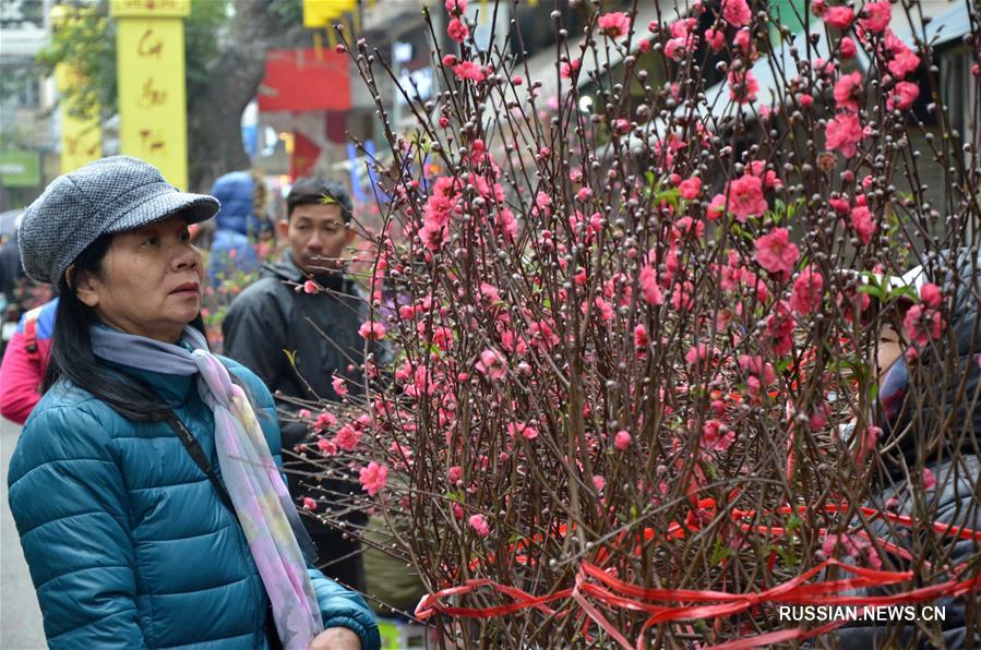 Во Вьетнаме готовятся к встрече Праздника Весны
