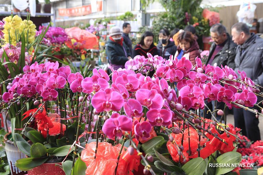 Китай охвачен предпраздничным цветочным бумом
