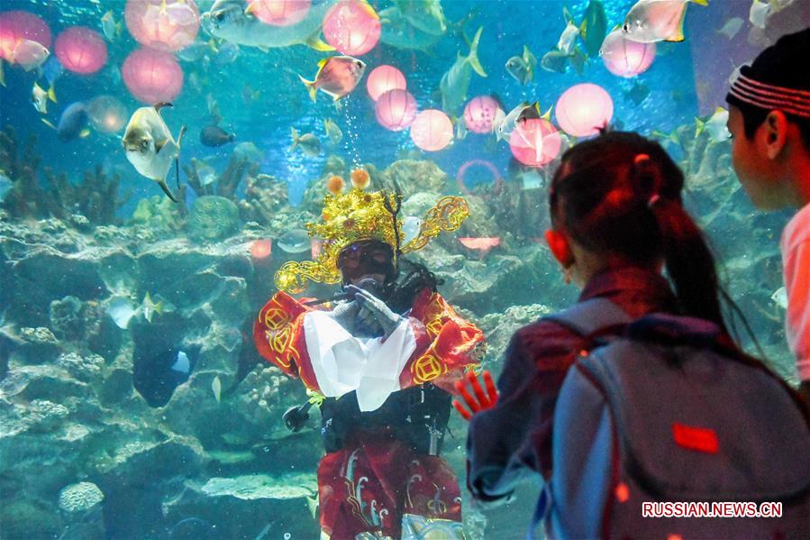 Цайшэнь поздравил посетителей Куала-Лумпурского океанариума с Новым годом по лунному календарю