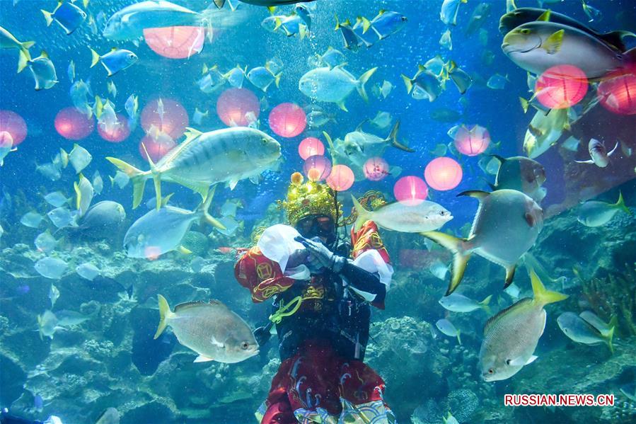 Цайшэнь поздравил посетителей Куала-Лумпурского океанариума с Новым годом по лунному календарю