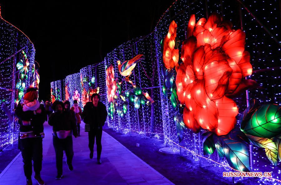 Новогоднее световое шоу в пекинском ландшафтном парке Наньгун