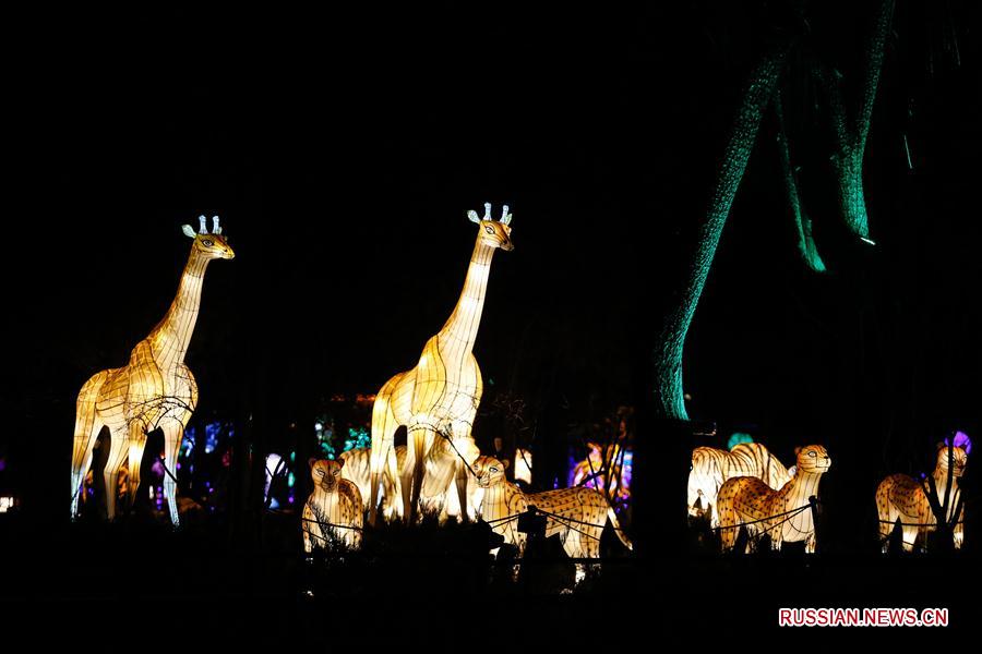 Фестиваль цветных фонариков в Шанхае по случаю праздника Весны