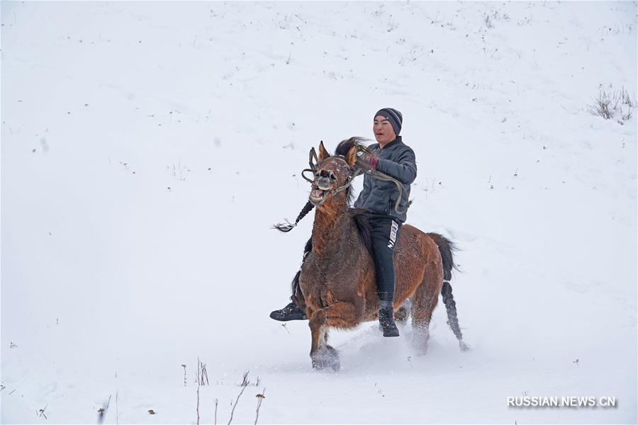 Зимние спортивные соревнования у тувинцев по случаю праздника Весны