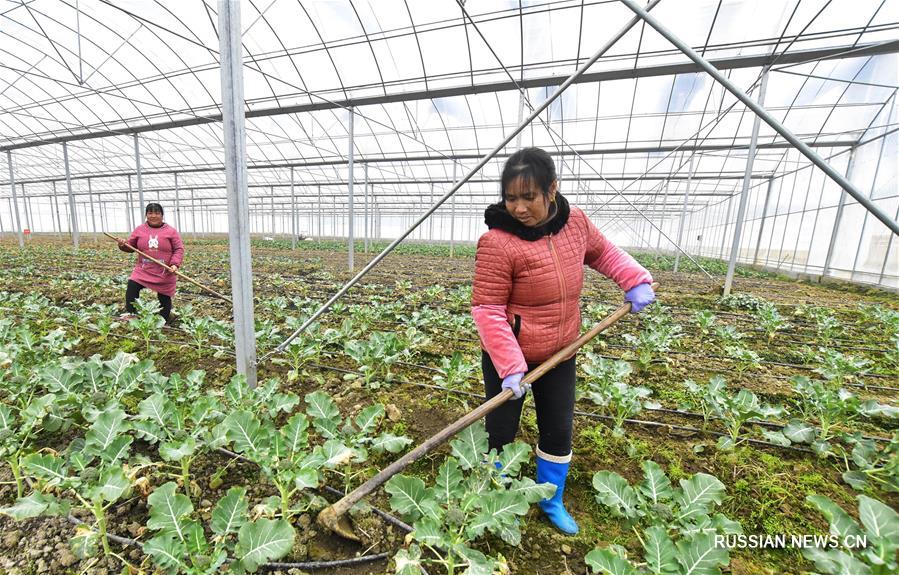 Китайские крестьяне приступили к весенним полевым работам