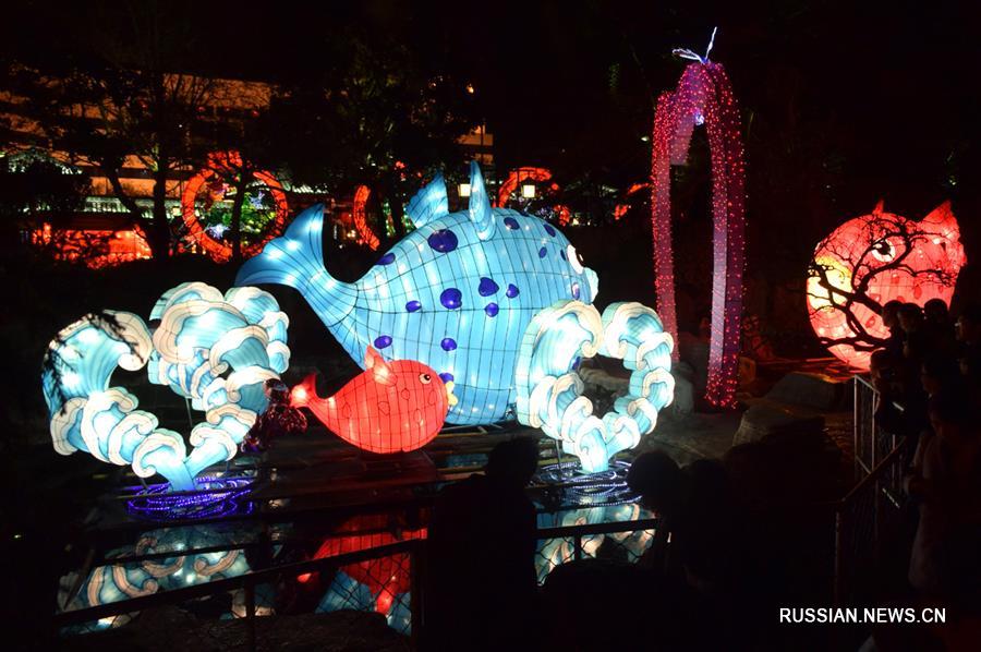 Выставка цветных фонариков в городе Цзинань
