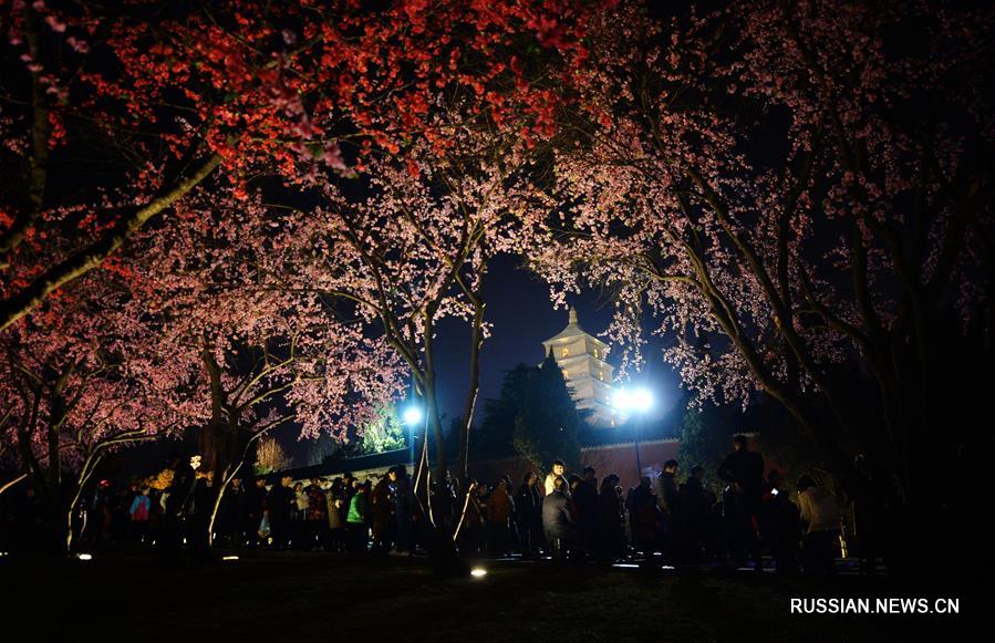 В ландшафтных парках Сианя по-прежнему многолюдно