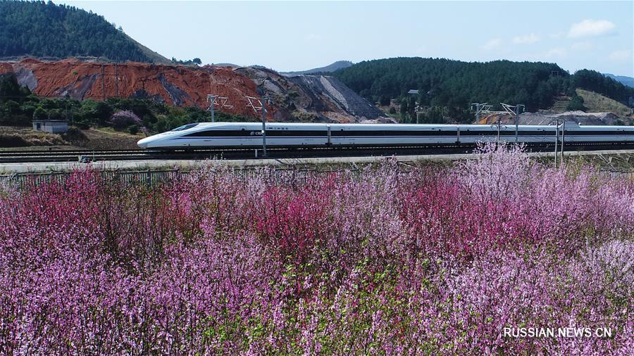 Высокоскоростной поезд мчится среди весенних полей и садов