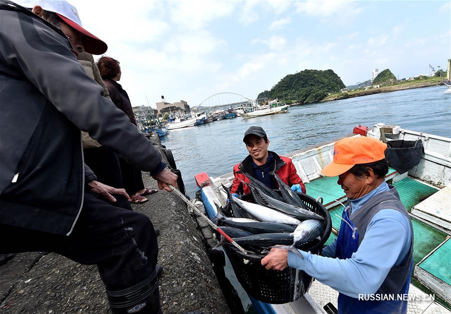 Активная пора в тайваньском рыбном порту Наньфанъао