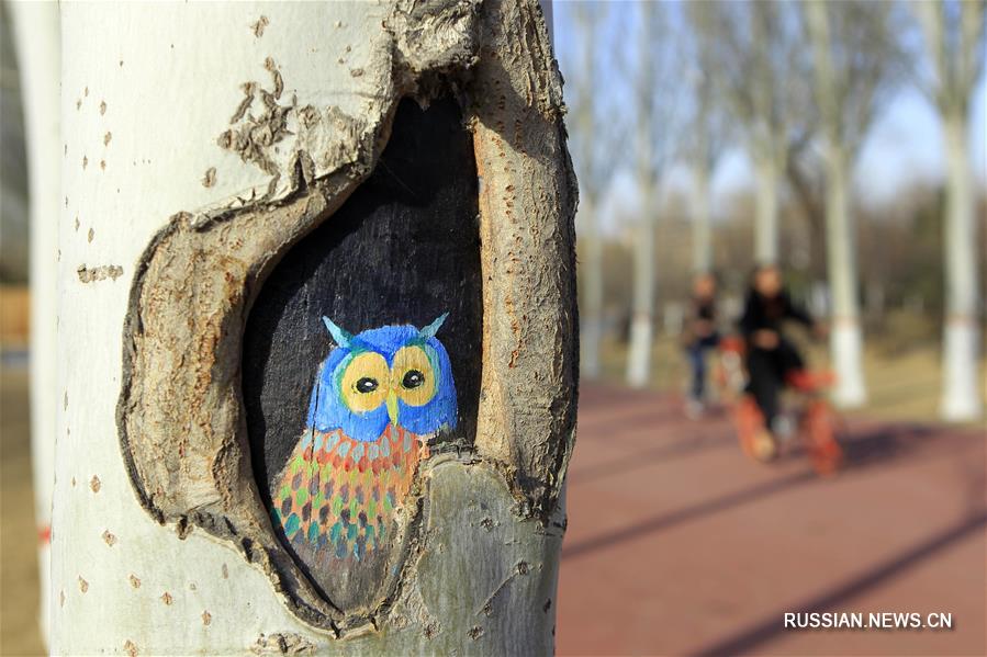 Картинки на деревьях в парке Фэнхуан города Иньчуань