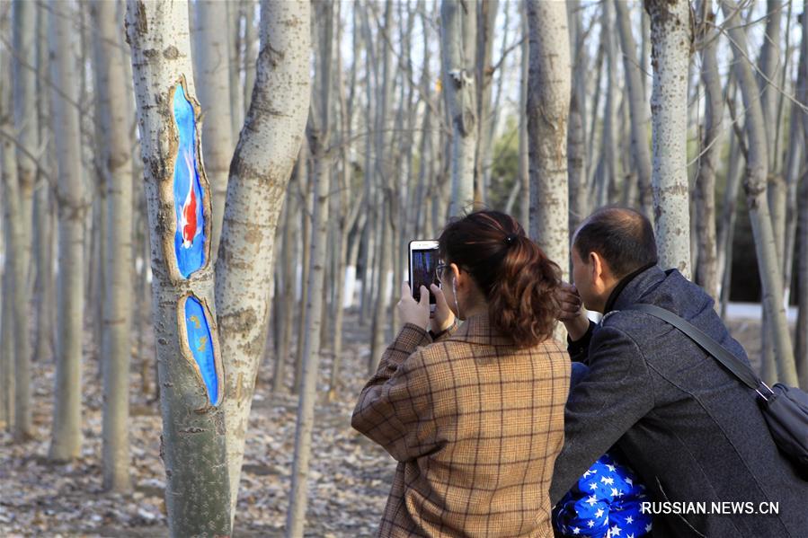 Картинки на деревьях в парке Фэнхуан города Иньчуань