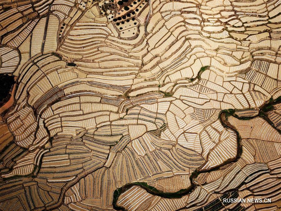 Террасированные арбузные поля в Гуанси-Чжуанском АР