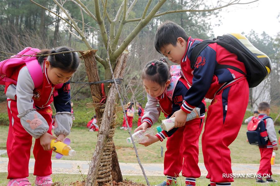 В Китае отметили День посадки деревьев