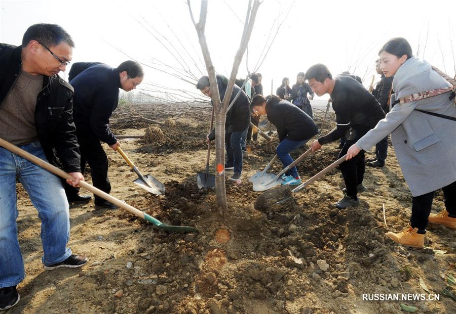 В Китае отметили День посадки деревьев