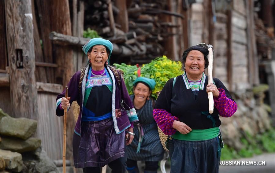 В уезде Жуншуй готовятся к весенней пахоте
