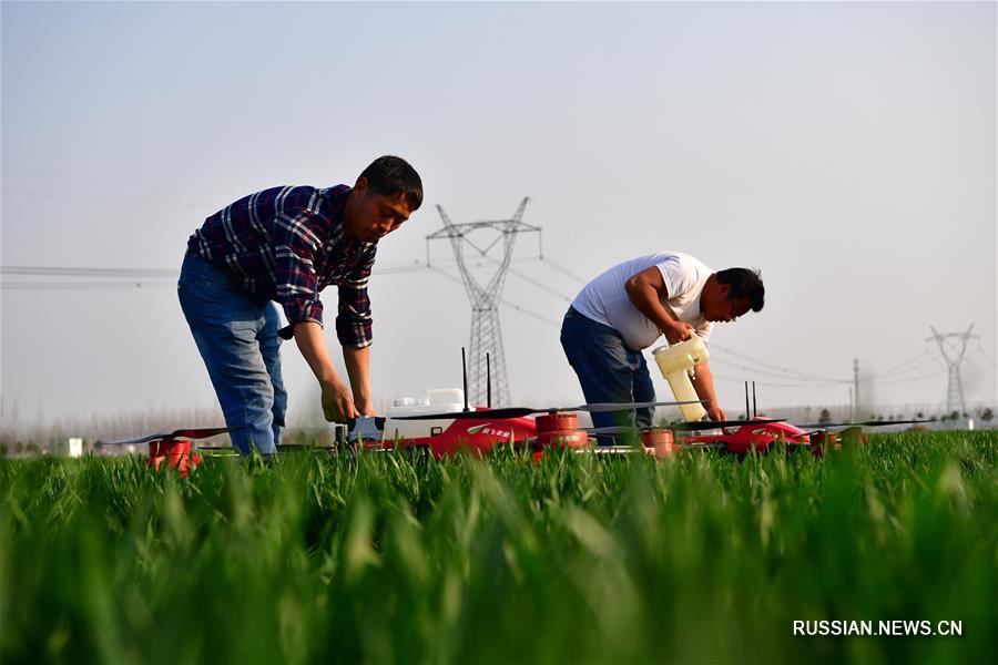 "Умная" техника приходит весной на помощь фермерам Китая